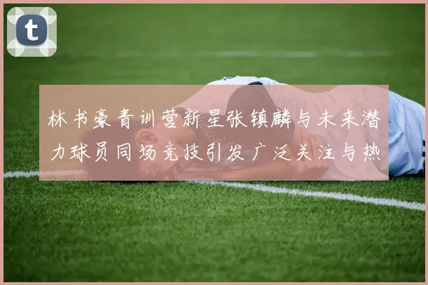 林书豪青训营新星张镇麟与未来潜力球员同场竞技引发广泛关注与热议