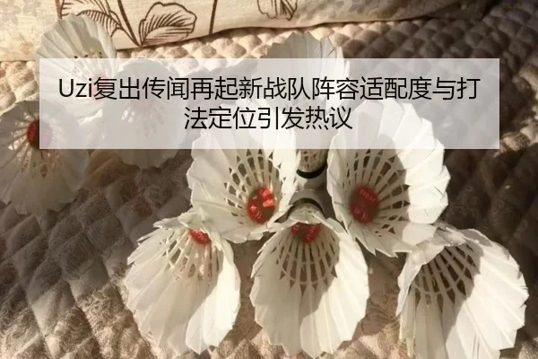 Uzi复出传闻再起新战队阵容适配度与打法定位引发热议